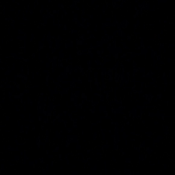 Meet your Posher, Courtney - Picture 1 of 1